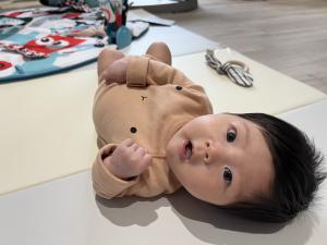 彌月蛋糕-乳酪蛋糕