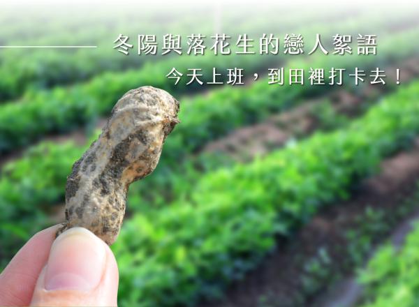 乳酪蛋糕推薦