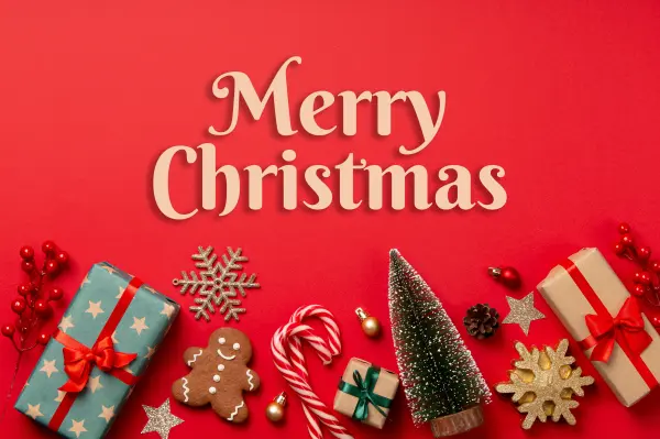 聖誕 節 禮物