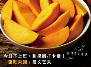 乳酪蛋糕推薦