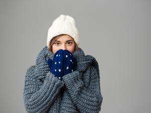 冬令進補-起司蛋糕推薦-乳酪蛋糕推薦