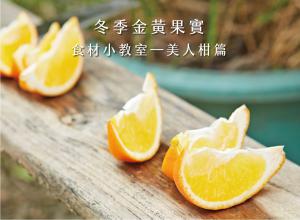 乳酪蛋糕推薦