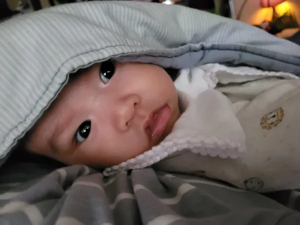 彌月蛋糕-乳酪蛋糕-起司蛋糕