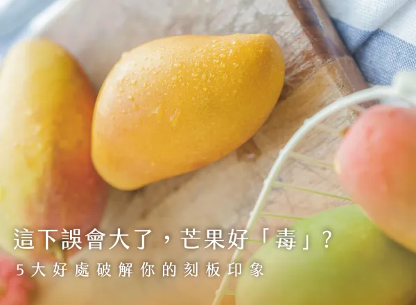 乳酪蛋糕推薦-芒果-愛文-起司蛋糕