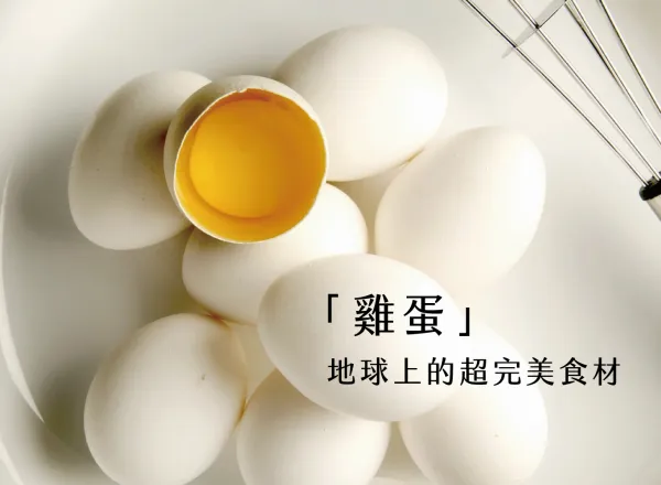 乳酪蛋糕推薦