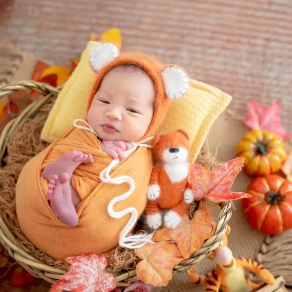 彌月蛋糕-乳酪蛋糕-起司蛋糕