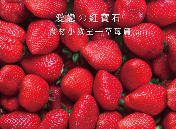 乳酪蛋糕推薦
