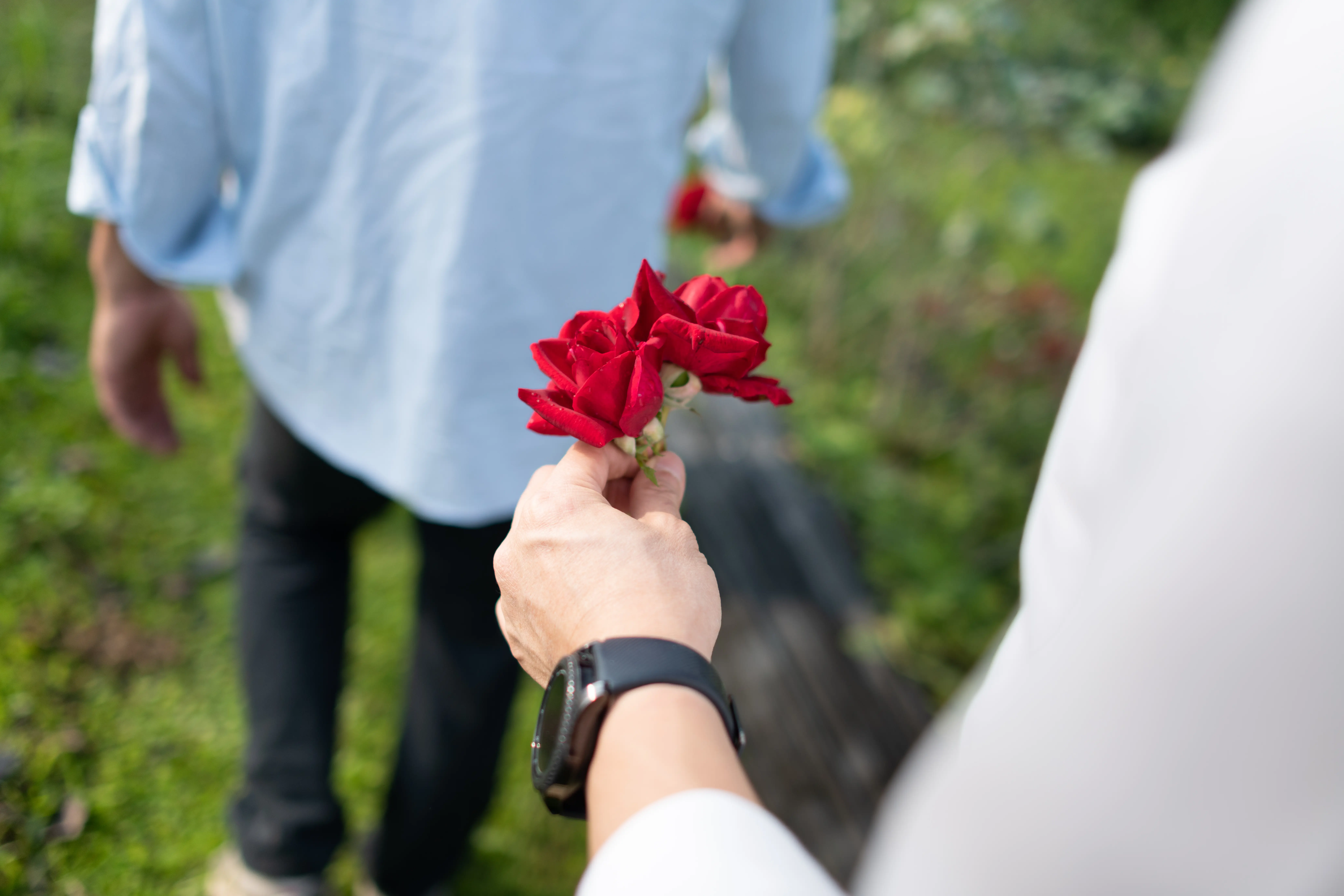 大花農場-有機玫瑰-起司蛋糕-乳酪蛋糕-起士蛋糕-母親節蛋糕-屏東九如-食用玫瑰